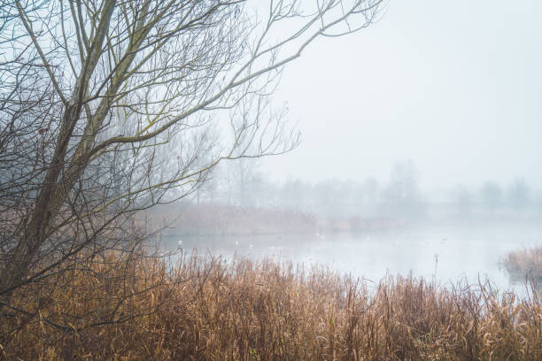 Misty grey lake and cloudy sky landscape
