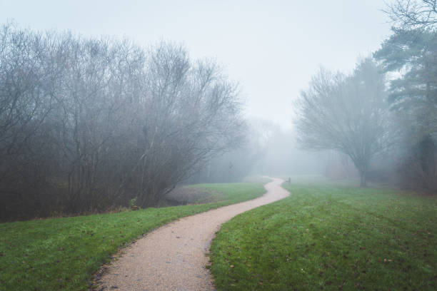 Winter landscape in the fog and footpath
