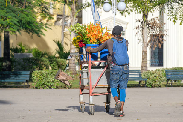 Santa Clara, Cuba - December 26, 2024: A Cuban man pushing a cart with flowers in the Parque Leoncio Vidal. Daily life of Cuban people