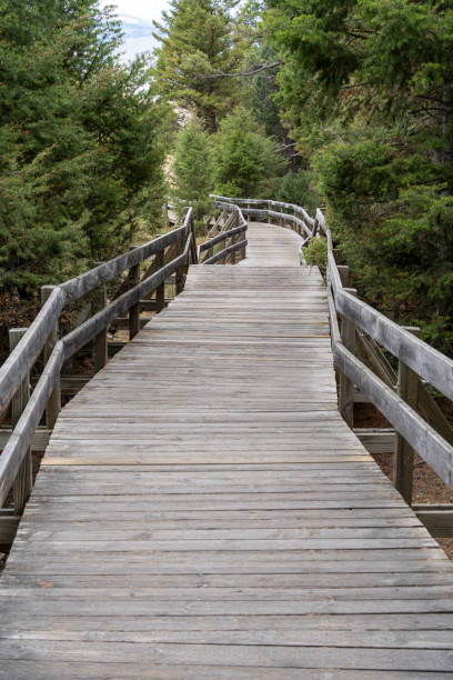 istock Wooden bridge with a path leading up to it 2191945122