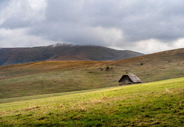 Landscapes of the Carpathian Mountains with rural villages, evergreen forests, wooden structures, wildflowers, and foggy hills. Nature and countryside in different seasons and light.