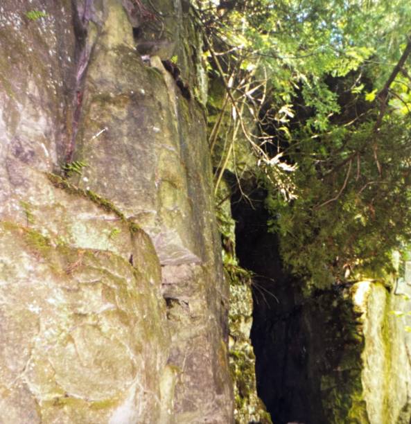 istock Lavender, Ontario Caves 2191954152