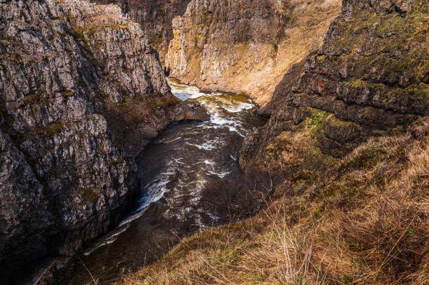 Kolugljúfur Canyon e Kolufoss nature sceneries, Iceland