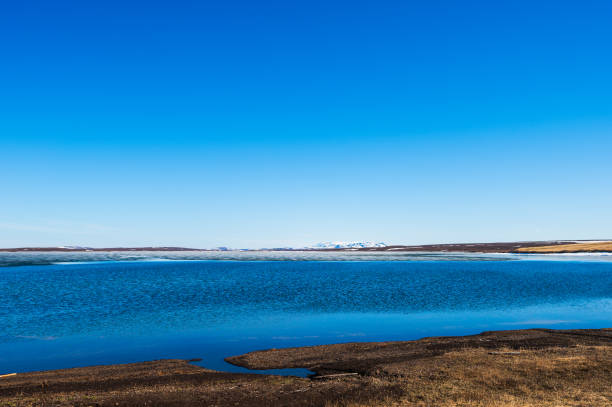 lake Myvatn nature sceneries with a clear sky in the background, Iceland