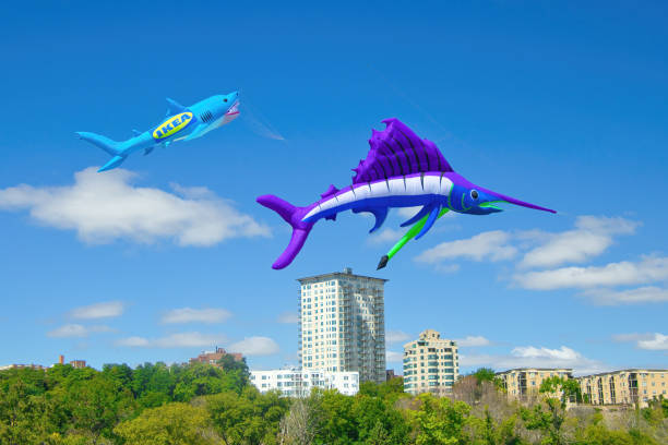 Colorful Kite Flying in blue spring sky
