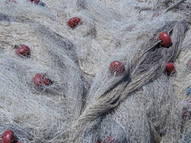 istock Tangled mass of fishing nets 2191961717