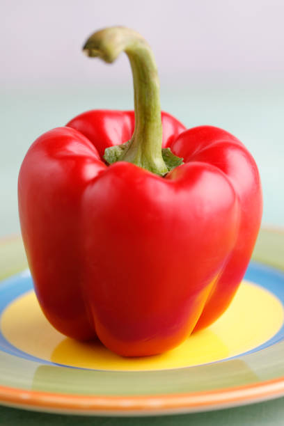 Collection of red and yellow bell peppers in vibrant color on a kitchen counter beside a transparent black pepper grinder.