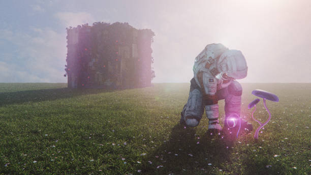 istock Astronaut examining exo species on a meadow 2191969434