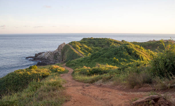 istock Winding dirt path leading to the scenic pacific ocean in oaxaca, mexico,punta cometa 2191972229