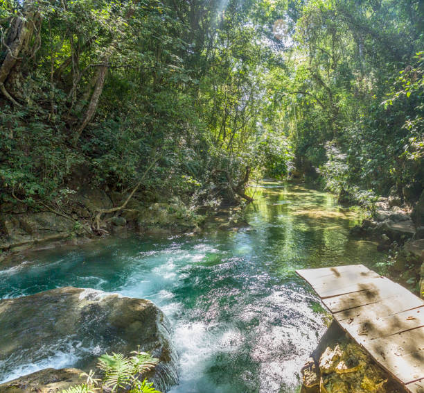 istock Emerald waters flowing through lush jungle in oaxaca, mexico 2191972826