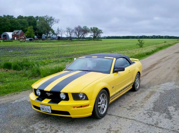 Yellow Ford Mustang with black stripes parked on County Road 54 near Lamberton, Minnesota, against a rural backdrop.