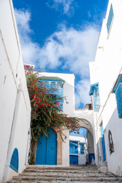 istock Doors at Sidi Bou Said suburb of Tunis, Tunisia at sunset 2191976312