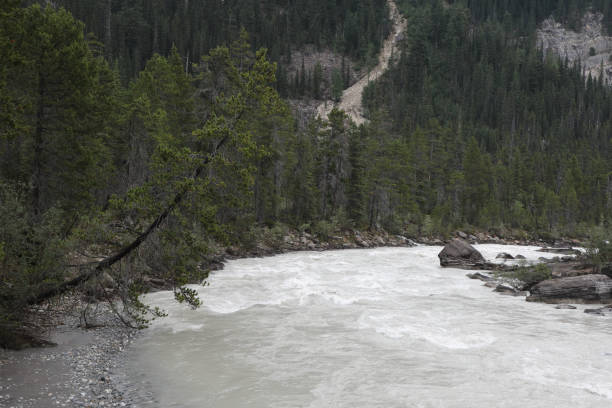 istock Yoho River below Takakkaw Falls, Yoho National Park, Alberta, Canada 2191976420
