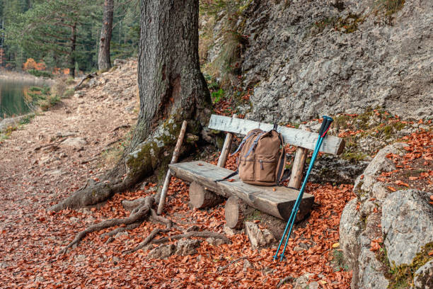 Hiking backpack and trekking poles resting on a wooden bench under a tree by a lake during a beautiful autumn day