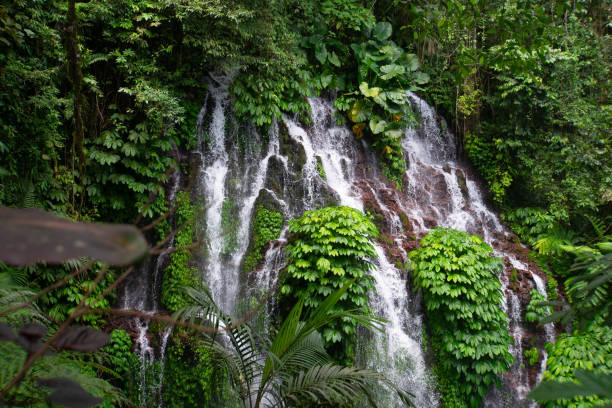 istock Banyu Wana Amertha Waterfall in Buleleng, Bali, Indonesia. 2191995233