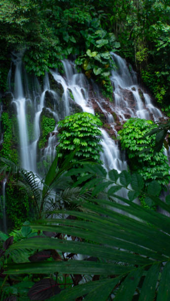 istock Banyu Wana Amertha Waterfall in Buleleng, Bali, Indonesia. 2191995278