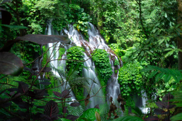 istock Banyu Wana Amertha Waterfall in Buleleng, Bali, Indonesia. 2191995315