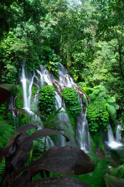 istock Banyu Wana Amertha Waterfall in Buleleng, Bali, Indonesia. 2191995325