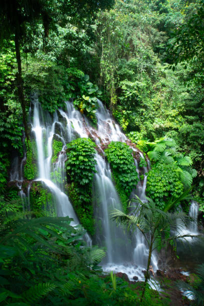 istock Banyu Wana Amertha Waterfall in Buleleng, Bali, Indonesia. 2191995350
