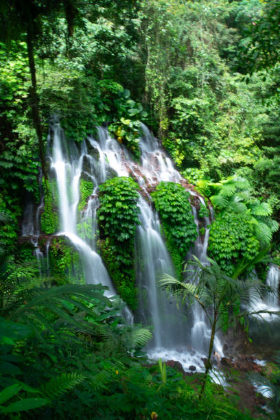 istock Banyu Wana Amertha Waterfall in Buleleng, Bali, Indonesia. 2191995356
