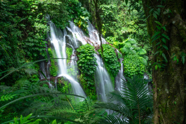 istock Banyu Wana Amertha Waterfall in Buleleng, Bali, Indonesia. 2191995372