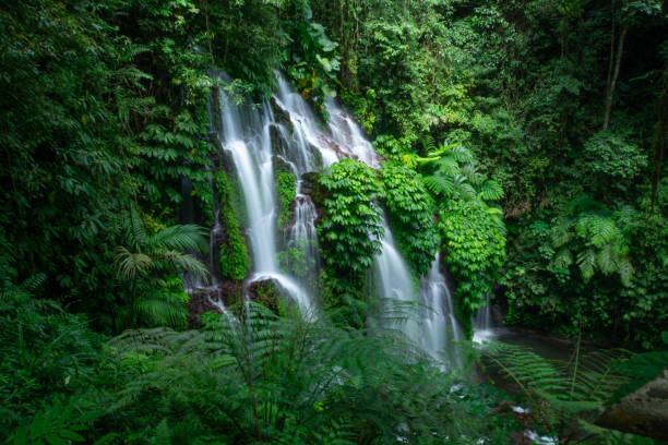 istock Banyu Wana Amertha Waterfall in Buleleng, Bali, Indonesia. 2191995375