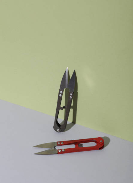 istock Sewing or fishing scissors on a green background 2191996719