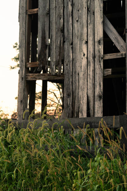Rustic weathered wood on an old barn on a horse farm, Versailles, KY, USA