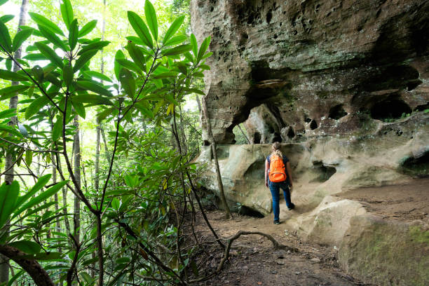 istock Hiking at Red River Gorge, Kentucky 2191997655