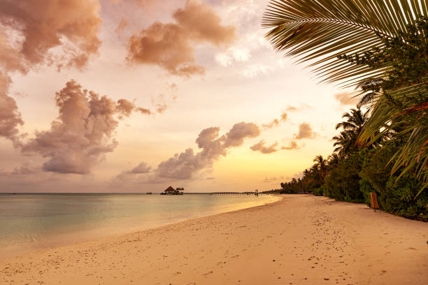 istock Exotic tropical paradise beach with dramatic sky and clouds during the sunrise 2191997883