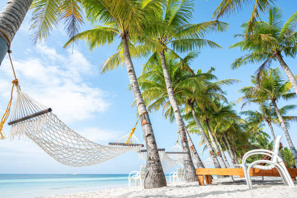 Resorts lining Dumaluan Beach in Panglao Island, Bohol, Philippines.