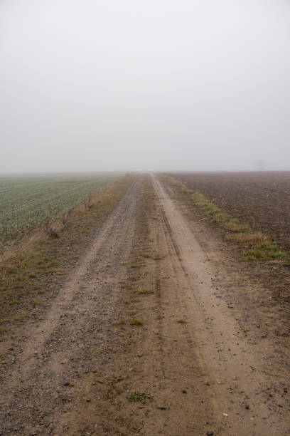 Landscape with ground road through fields during foggy day in snowless winter season