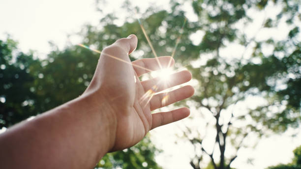 Hand touching sunlight. Close-up hand of human touching sunlight. sunbathing stock pictures, royalty-free photos & images