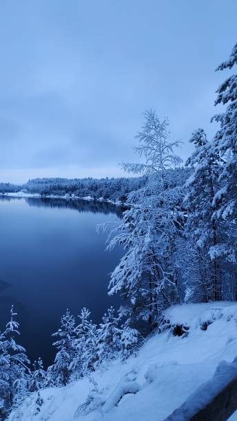istock Winter forest, 
Christmas trees, 
pine trees
lake 2192005916