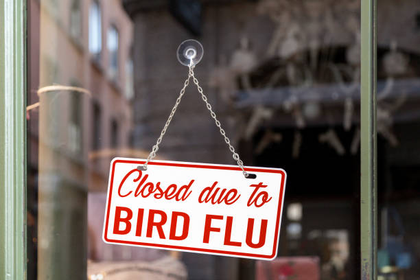 istock Closed due to bird flu sign 2192006506