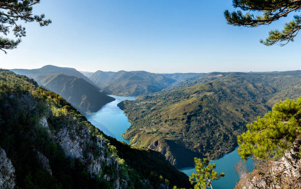 istock Tara National Park, Serbia 2192008583