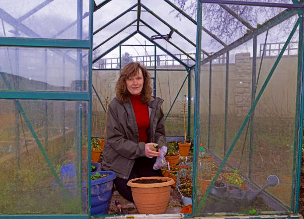 istock Planting tulip bulbs in December 2192009025