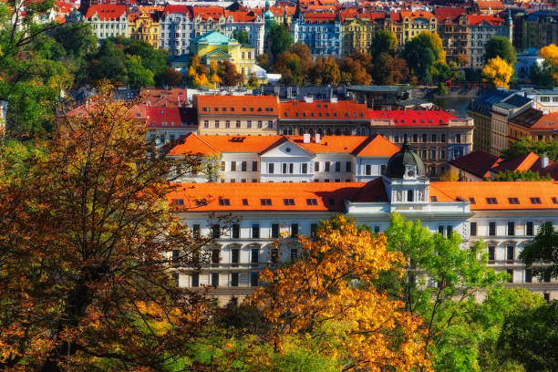 View of Prague through the branches of autumn trees.