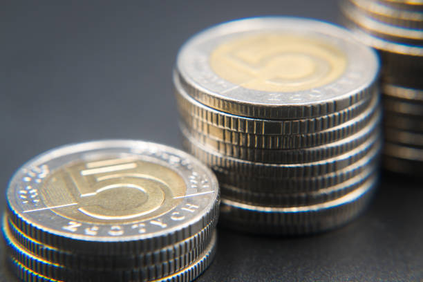 Five zloty coin, Polish coin, savings.