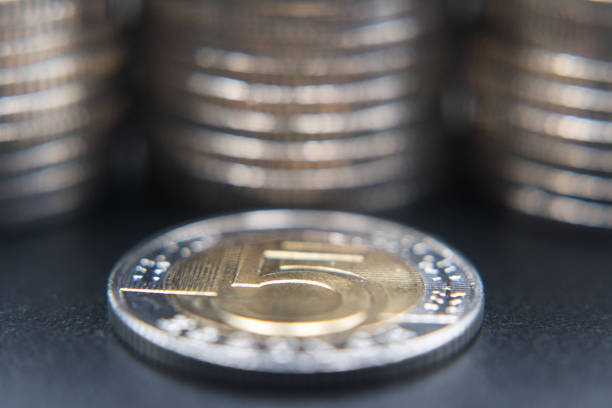 Five zloty coin, Polish coin, savings.