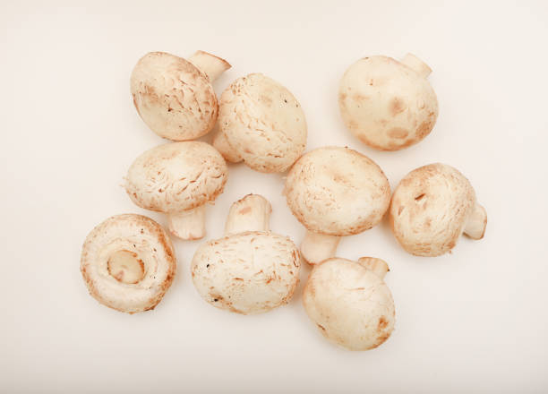 istock Fresh champignons on a white plate. Mushrooms on a white background. 2192019894