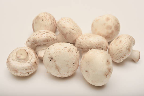 Fresh champignons on a white plate. Mushrooms on a white background.