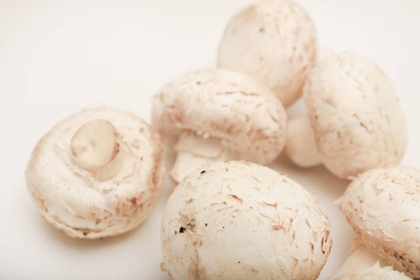istock Fresh champignons on a white plate. Mushrooms on a white background. 2192020423