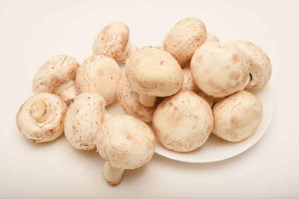 istock Fresh champignons on a white plate. Mushrooms on a white background. 2192020430