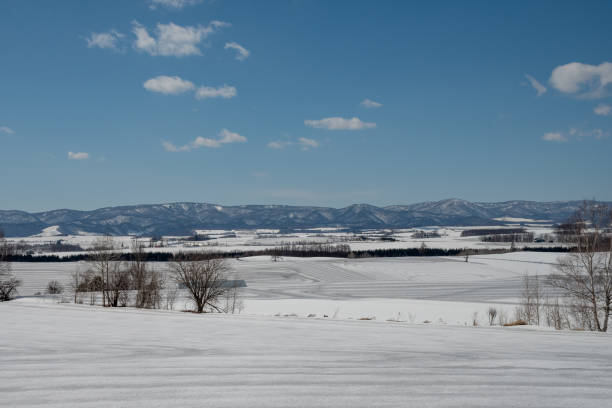 Field in early spring after snow melting agents have been spread
