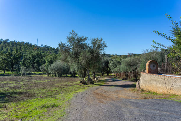 Ruins of the Pedres Castle, a 13th-century fortification built on a rocky outcrop a few kilometers from Olbia (3 shots stitched)