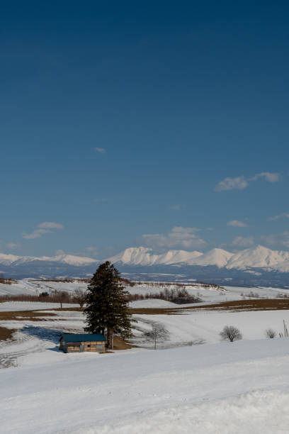 istock Winter landscape with snow-capped mountains and a small hut in the foreground 2192020996