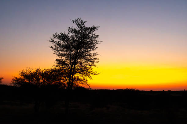 Sunset at Kgalagadi Transfrontier Park, in South Africa