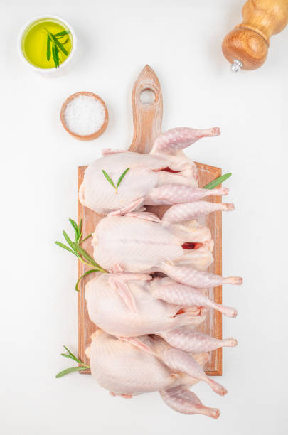 istock Fresh organic quails meat on white table on a wooden board, top view 2192027414
