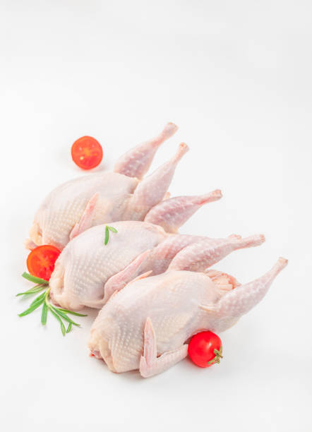 Raw uncooked quails, ecological farm products on a white background top view. copy space,
